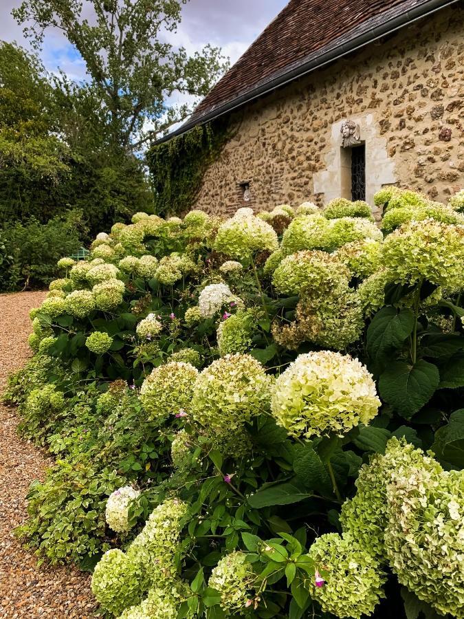 Le Manoir De Maucartier Bed & Breakfast Monnaie Dış mekan fotoğraf